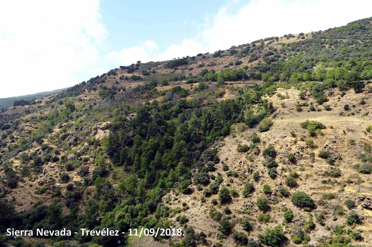 15 ANDALOUSIE - SIERRA NEVADA - TREVELEZ 11 09 2018 (5).JPG